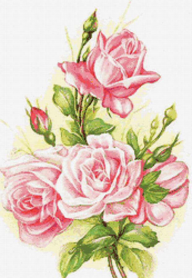 нежные розы - предпросмотр