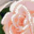 Предпросмотр схемы вышивки «нежные розы» (№148625)