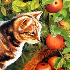 Схема вышивки «Кот в яблоках»