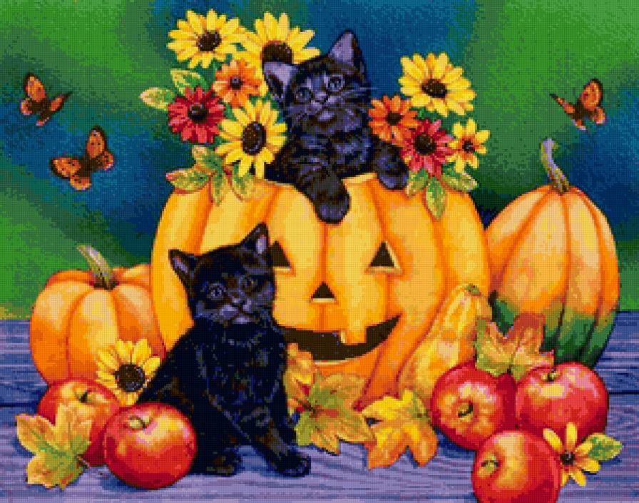 Котята - тыква, кот, фрукты, яблоки, кошка, животные - предпросмотр