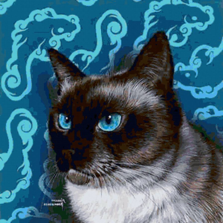 Голубоглазка - кошка, кот, животные - предпросмотр