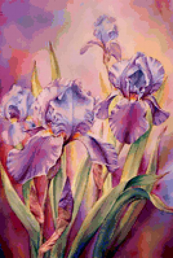 Ирисы - букет, цветы, ирисы - предпросмотр