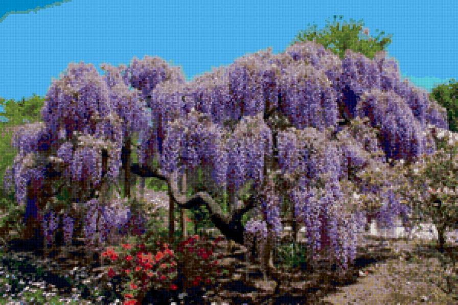 №149105 - предпросмотр