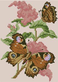 бабочка - бабочка - оригинал