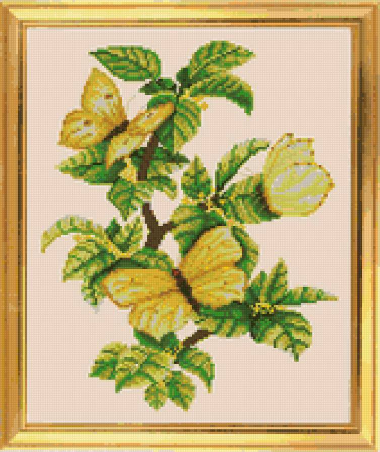 бабочка - бабочка - предпросмотр