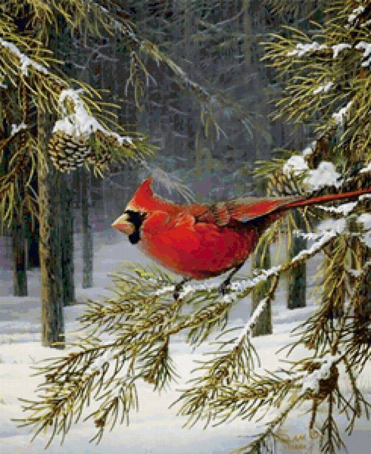 №149288 - предпросмотр