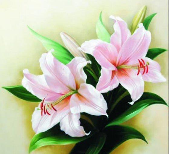 №149295 - оригинал