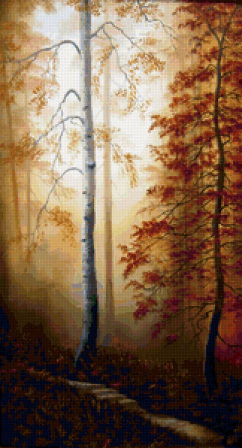 Березки - лес, осень - предпросмотр