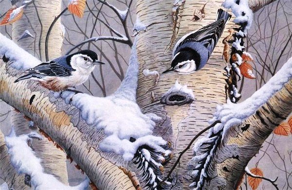 №149343 - оригинал