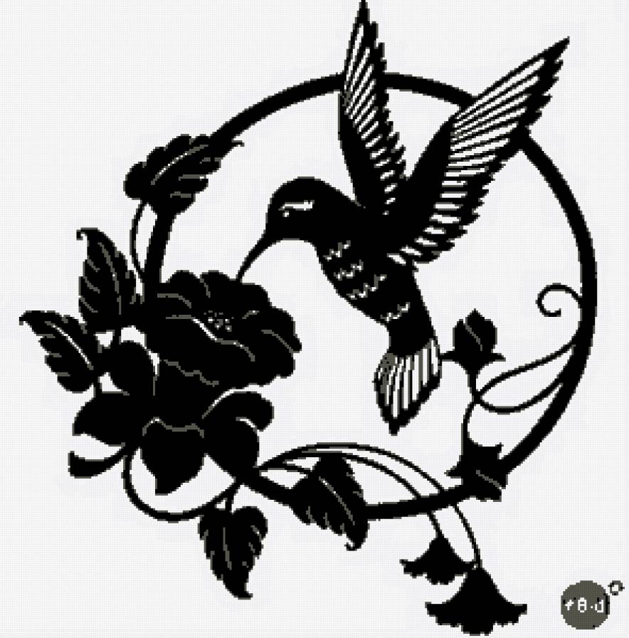 Колибри на цветке - цветок, птичка - предпросмотр