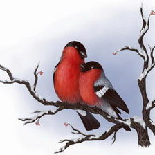 снегири на ветке