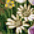 Предпросмотр схемы вышивки «цветы» (№149647)