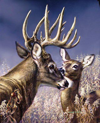 №149771 - оригинал