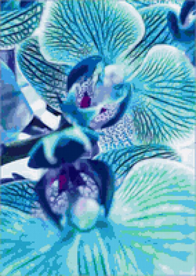 orchidee - blumen - предпросмотр