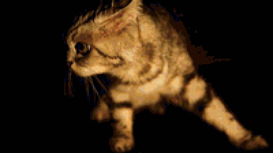 кот - животные - предпросмотр