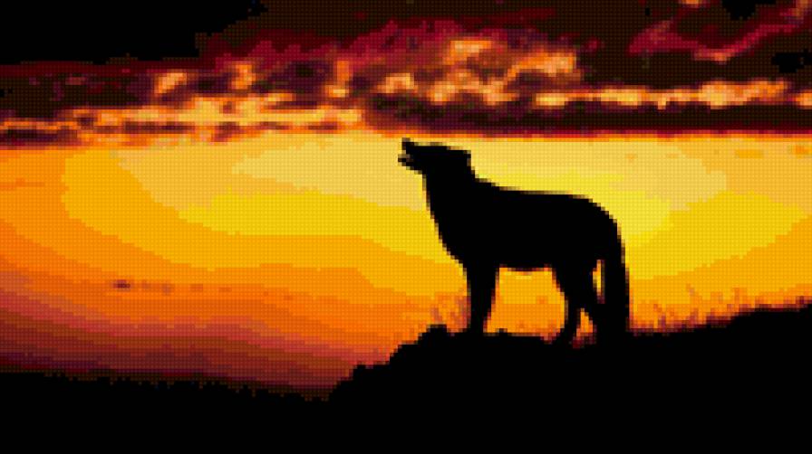 волк - животные - предпросмотр