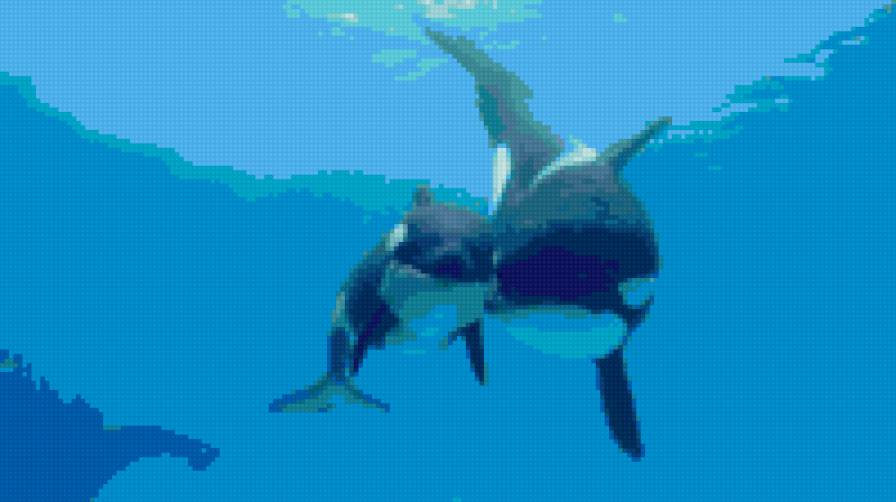 касатки - морская тема - предпросмотр