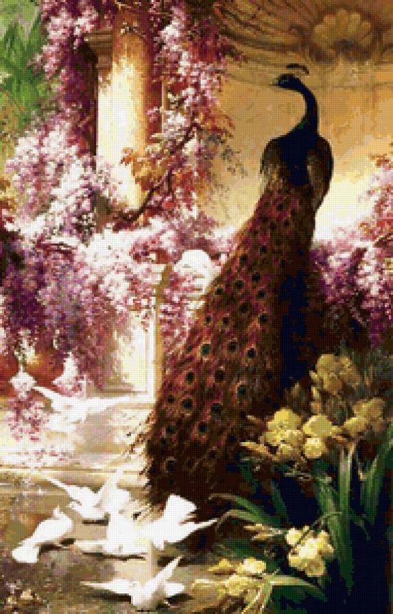 Павлин и голуби в саду - птицы, сад, павлин, голуби - предпросмотр