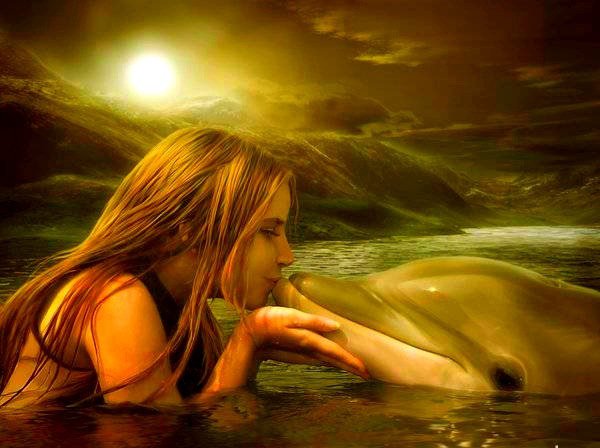Дружба - дельфин, море, закат, вода, девушка - оригинал