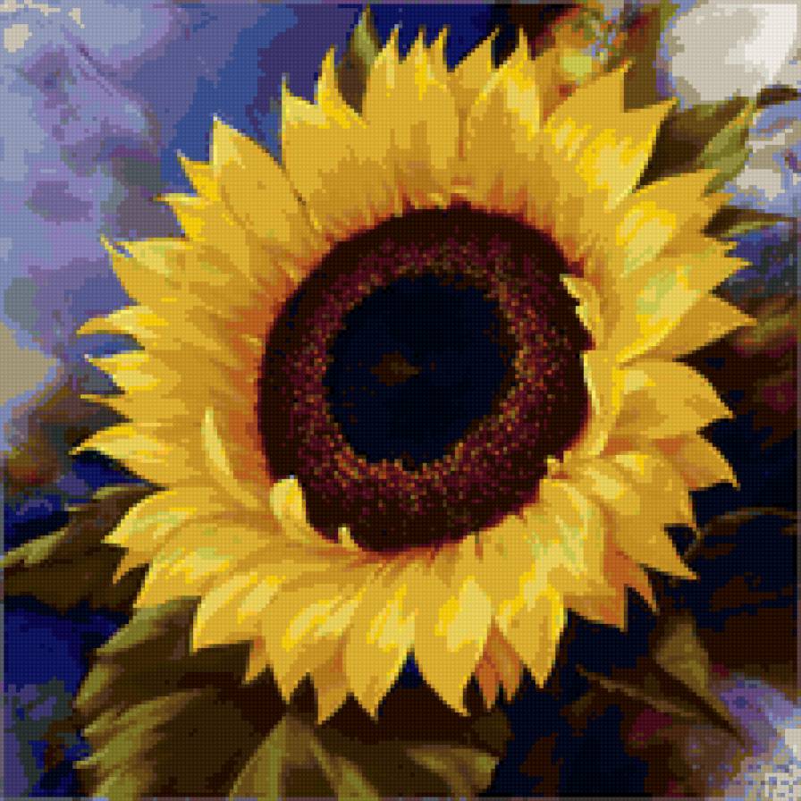 podsolnuch - blumen - предпросмотр