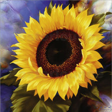 Схема вышивки «podsolnuch»