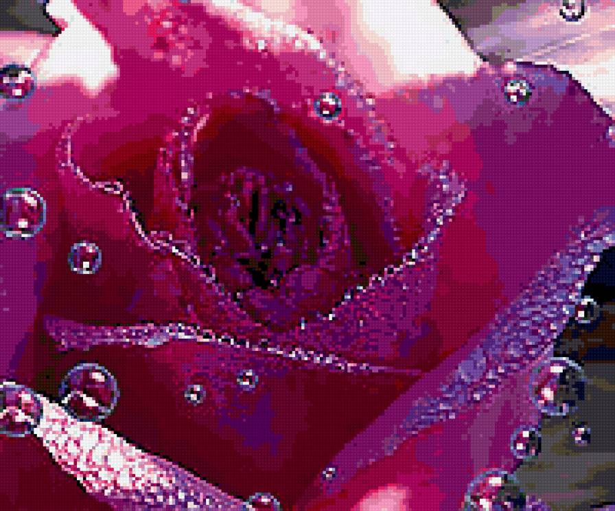 роза - цветы - предпросмотр