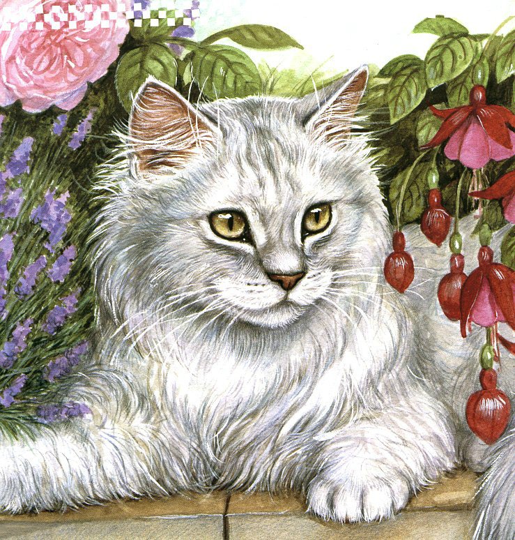 котик - коты, кошка, кошки, животные, кот, подушка - оригинал