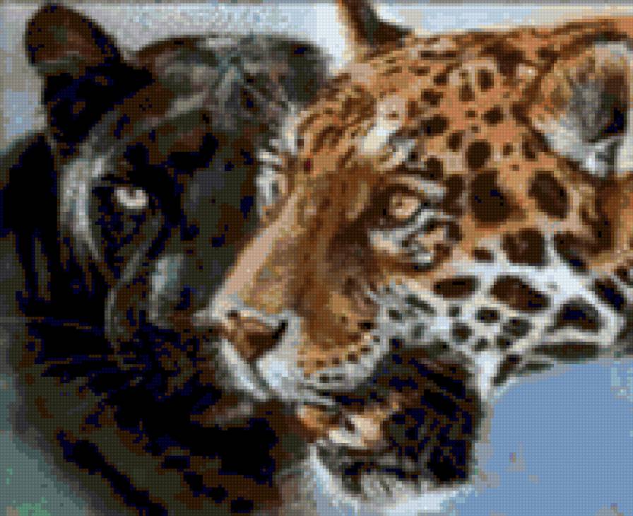 №150772 - предпросмотр