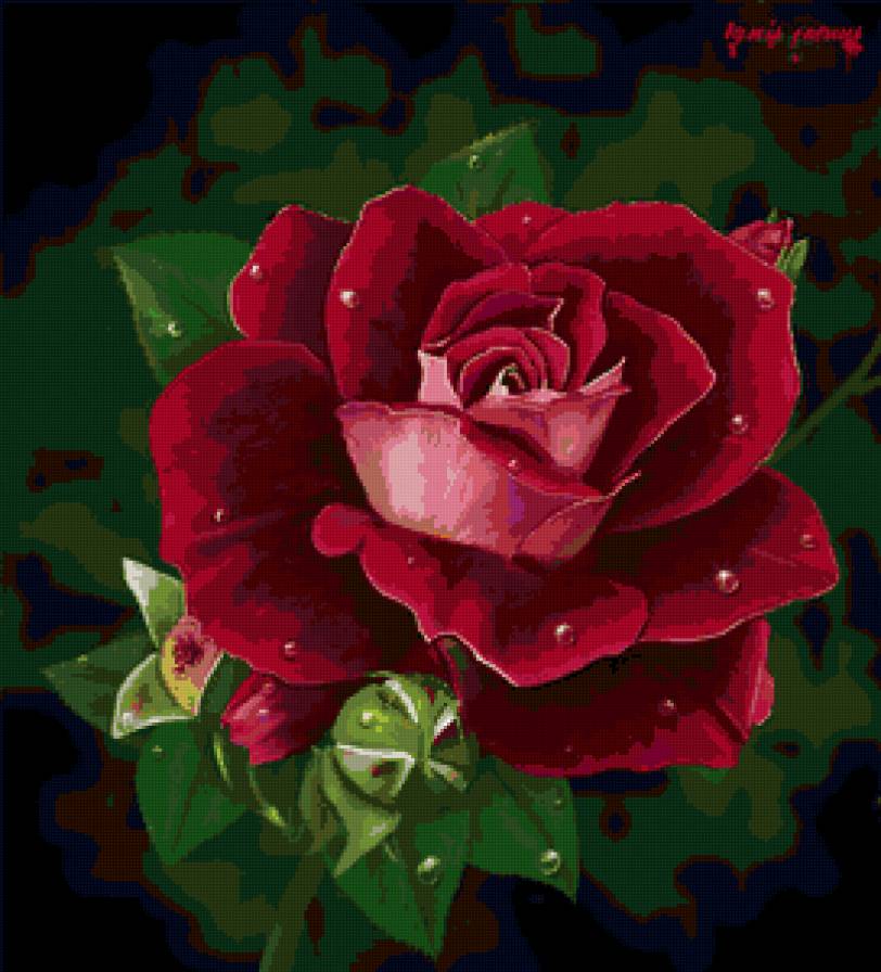 роза - цветок, подушка, розы, цветы - предпросмотр