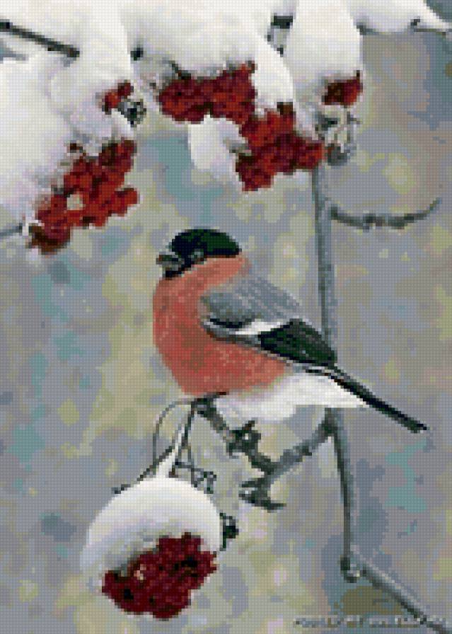 снегирь - снегири, открытка, зима - предпросмотр