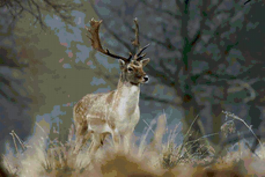 олень - олень, животные - предпросмотр