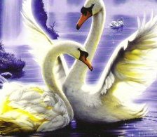 Схема вышивки «лебеди»