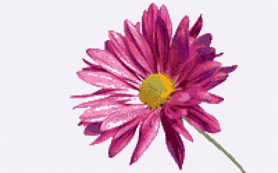 Цветок - предпросмотр