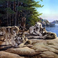 Схема вышивки «волк»