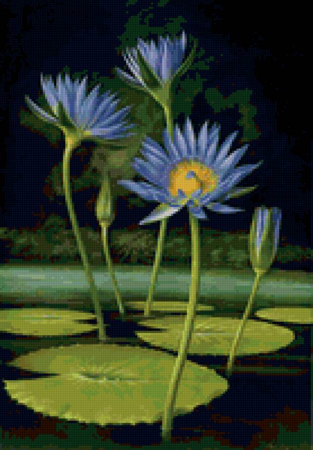 flowers - предпросмотр