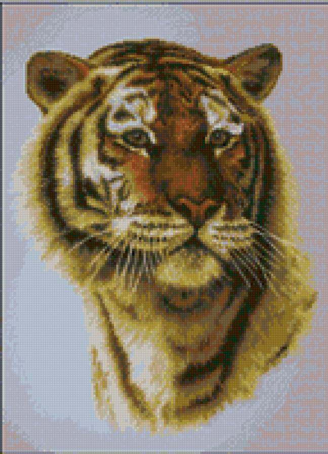 Задумчивый - тигр, животные - предпросмотр