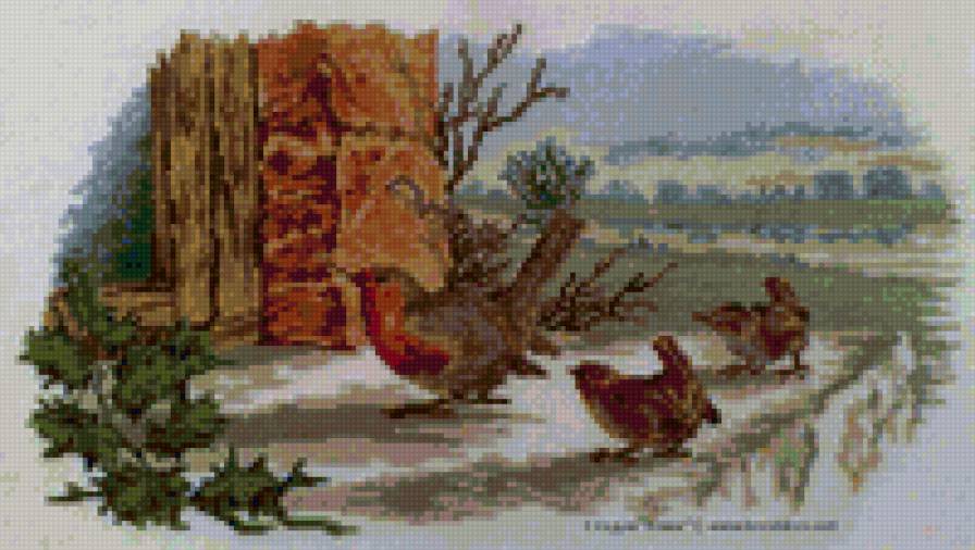 ... - птицы - предпросмотр