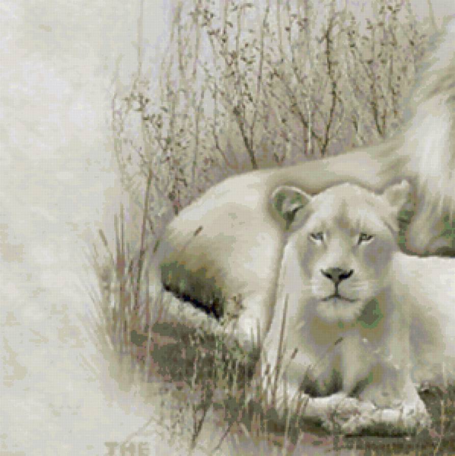 хвост - предпросмотр