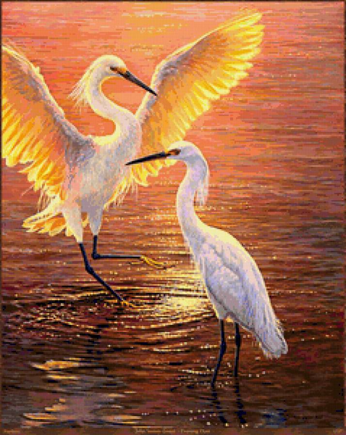 Танец журавлей - закат, журавли, птицы - предпросмотр