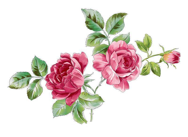 №151822 - букет, розы, ваза, цветы - оригинал