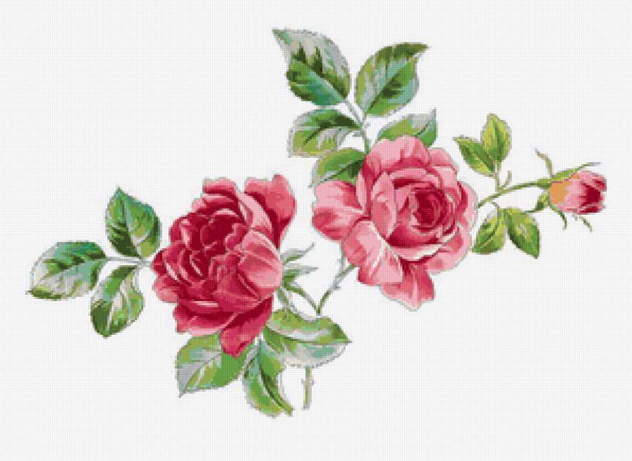 №151822 - розы, цветы, букет, ваза - предпросмотр
