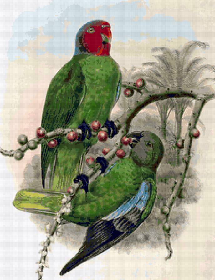 №151831 - птицы, пейзаж, животные - предпросмотр