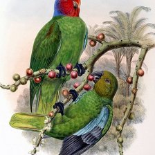 Схема вышивки «№151831»