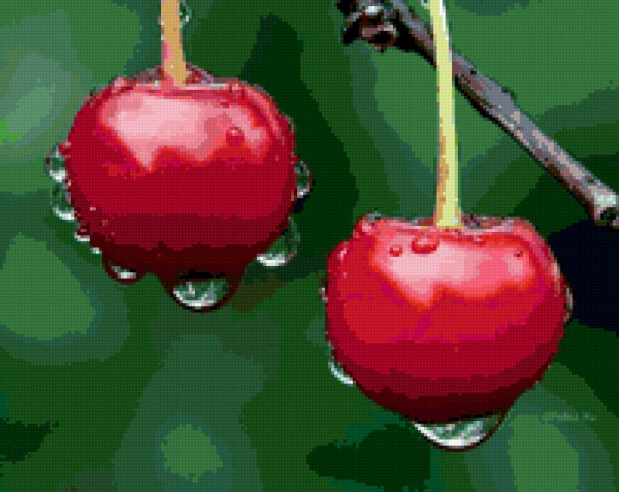 вишня - вишня - предпросмотр