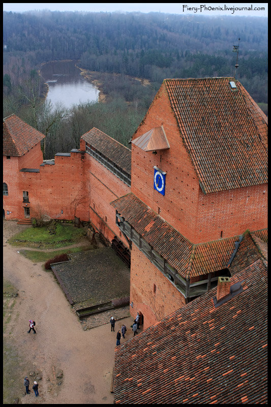 Сигулда - латвия, сигулда, замок - оригинал