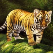 Оригинал схемы вышивки «tiger» (№151884)