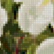 Предпросмотр схемы вышивки «flowers» (№151889)
