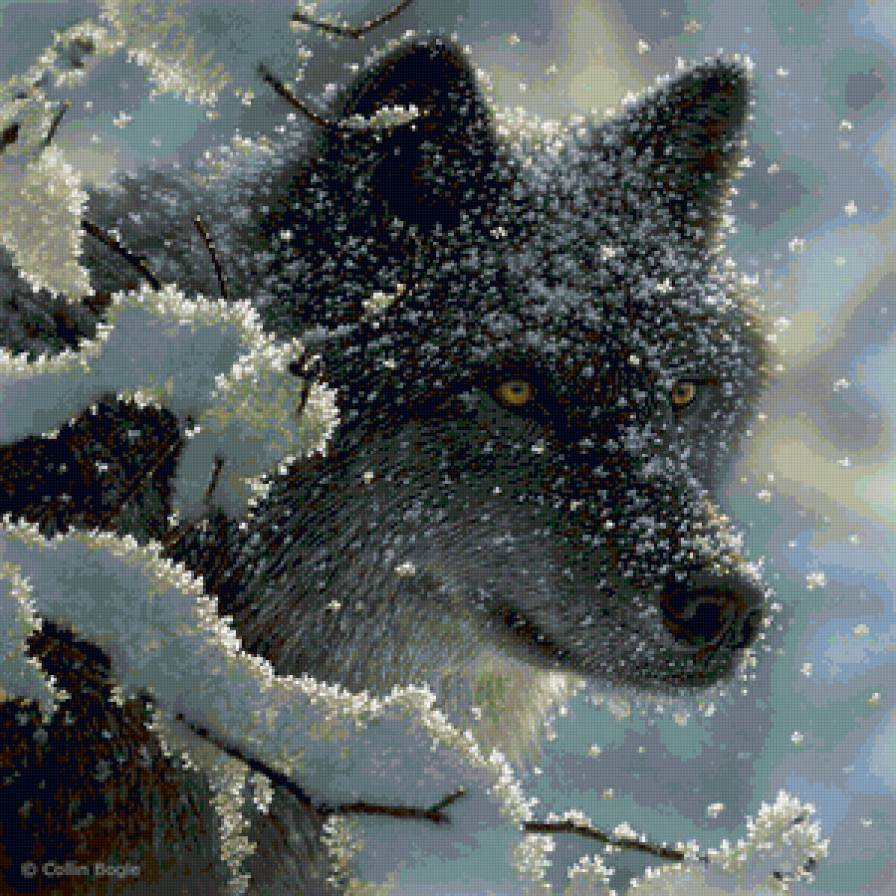 Волк зимой - зима, лес, волк - предпросмотр