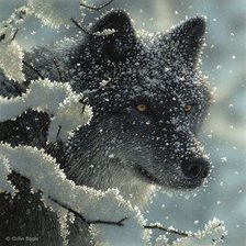 Оригинал схемы вышивки «Волк зимой» (№151991)