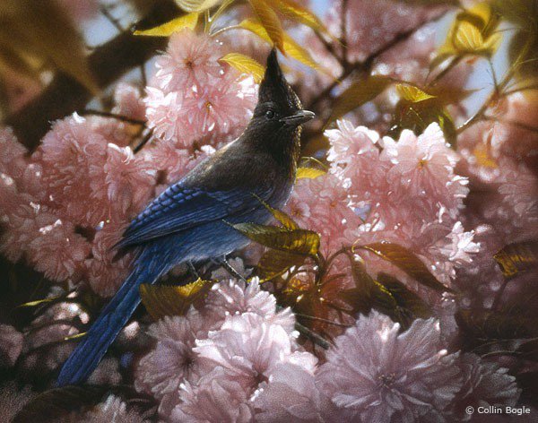 Птица - цветы, весна, птица - оригинал